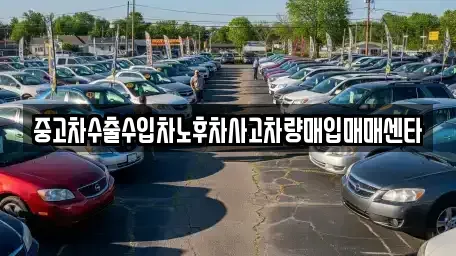 대구광역시 중구 시장북로 중고차 전문 중고차수출수입차노후차사고차량매입매매센타