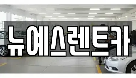 대구광역시 중구 종로2가 렌트카 전문 뉴예스렌트카