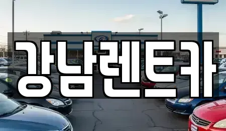 대전 대덕구 법동 렌트카 전문 강남렌트카