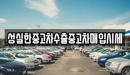 대전 대덕구 법동 중고차매입 전문 성실한중고차수출중고차매입시세