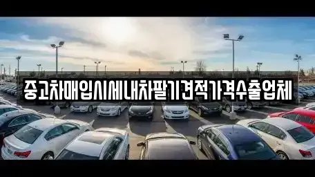 대전 대덕구 법동 중고차매입 전문 중고차매입시세내차팔기견적가격수출업체