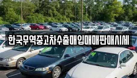 대전 대덕구 법동 중고차매입 전문 한국무역중고차수출매입매매판매시세