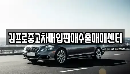 대전 동구 신안동 중고차 전문 김프로중고차매입판매수출매매센터