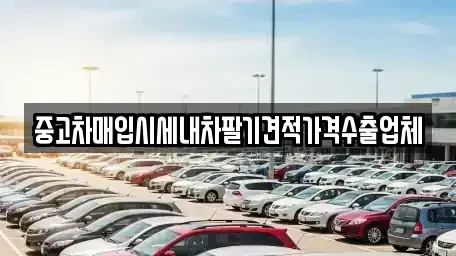 대전 동구 신안동 중고차매입 전문 중고차매입시세내차팔기견적가격수출업체