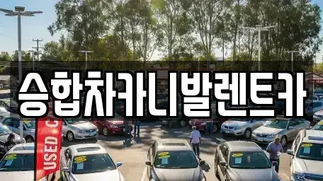 대전 유성구 계산동 렌트카 전문 승합차카니발렌트카