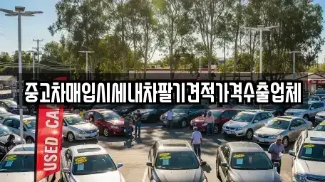 대전 유성구 상대동 중고차매입 전문 중고차매입시세내차팔기견적가격수출업체