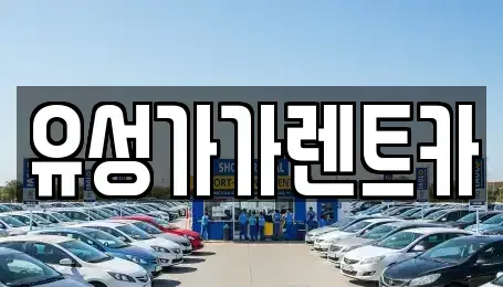 대전 유성구 외삼동 렌트카 전문 유성가가렌트카