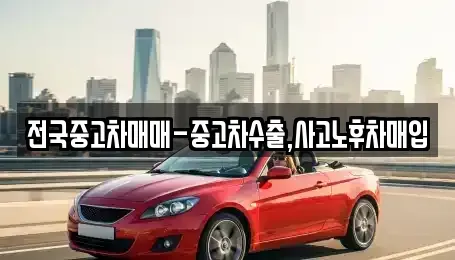 대전 유성구 외삼동 중고차 전문 전국중고차매매-중고차수출,사고노후차매입