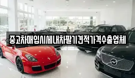 대전 유성구 외삼동 중고차매입 전문 중고차매입시세내차팔기견적가격수출업체