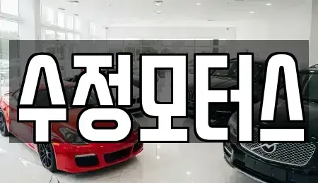 대전 중구 선화동 중고차 전문 수정모터스