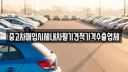 대전 중구 선화동 중고차 전문 중고차매입시세내차팔기견적가격수출업체