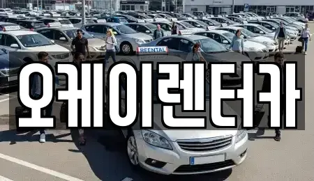 대전광역시 대덕구 용호동 렌트카 전문 오케이렌터카