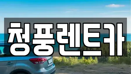 대전광역시 대덕구 용호동 렌트카 전문 청풍렌트카