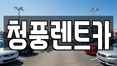 대전광역시 대덕구 용호동 렌트카 전문 청풍렌트카
