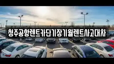 대전광역시 대덕구 용호동 장기렌트카 전문 청주공항렌트카단기장기월렌트사고대차