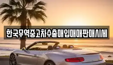 대전광역시 대덕구 용호동 중고차,렌트카,중고차매입,중고차매매,장기렌트카,단기렌트카