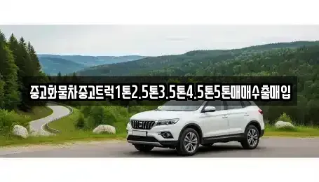대전광역시 동구 구도동 중고차매매 전문 중고화물차중고트럭1톤2.5톤3.5톤4.5톤5톤매매수출매입