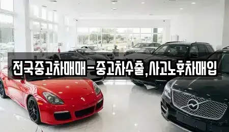 대전광역시 동구 구도동 중고차매입 전문 전국중고차매매-중고차수출,사고노후차매입