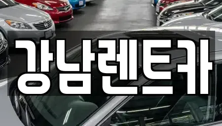 대전광역시 동구 낭월동 렌트카 전문 강남렌트카