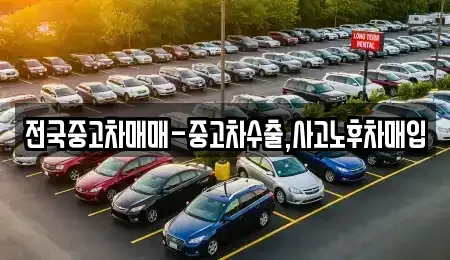 대전광역시 동구 낭월동 중고차 전문 전국중고차매매-중고차수출,사고노후차매입