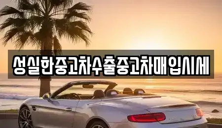 대전광역시 동구 낭월동 중고차매입 전문 성실한중고차수출중고차매입시세