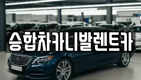 대전광역시 서구 복수동 렌트카 전문 승합차카니발렌트카