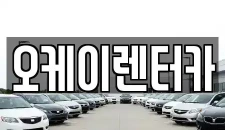 대전광역시 서구 복수동 렌트카 전문 오케이렌터카