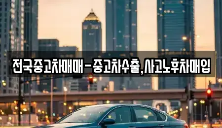 대전광역시 서구 복수동 중고차매매 전문 전국중고차매매-중고차수출,사고노후차매입