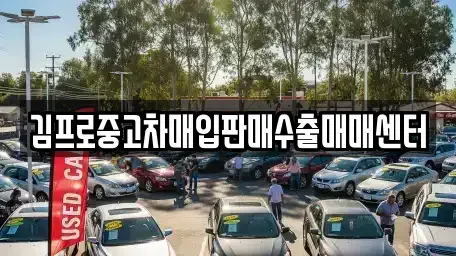 대전광역시 서구 복수동 중고차매입 전문 김프로중고차매입판매수출매매센터