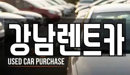 대전광역시 서구 장안동 렌트카 전문 강남렌트카