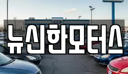 대전광역시 서구 장안동 중고차 전문 뉴신한모터스