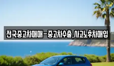 대전광역시 서구 장안동 중고차 전문 전국중고차매매-중고차수출,사고노후차매입