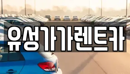 대전광역시 유성구 가정동 렌트카 전문 유성가가렌트카