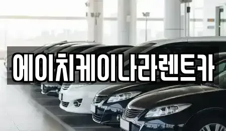 대전광역시 유성구 금탄동 렌트카 전문 에이치케이나라렌트카