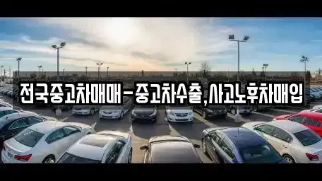 대전광역시 중구 사정동 중고차 전문 전국중고차매매-중고차수출,사고노후차매입