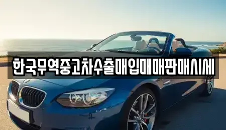 대전광역시 중구 사정동 중고차매입 전문 한국무역중고차수출매입매매판매시세