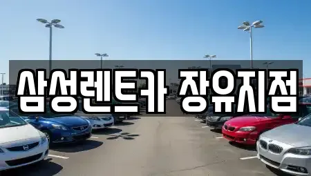 부산 강서구 단기렌트카 전문 삼성렌트카 장유지점