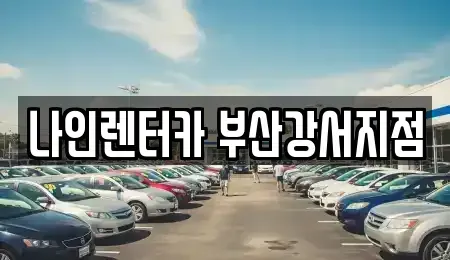 부산 강서구 렌트카 전문 나인렌터카 부산강서지점