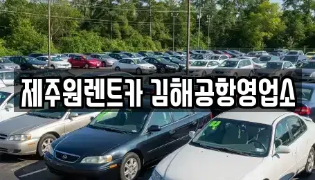 부산 강서구 렌트카 전문 제주원렌트카 김해공항영업소