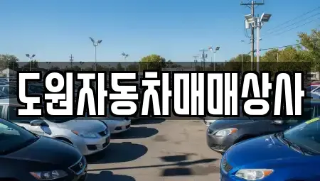 부산 강서구 중고차매매 전문 도원자동차매매상사