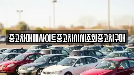 부산 강서구 중고차매매 전문 중고차매매사이트중고차시세조회중고차구매
