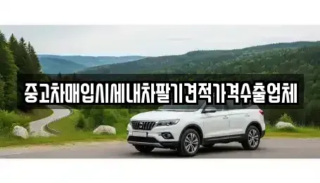 부산 강서구 중고차매입 전문 중고차매입시세내차팔기견적가격수출업체