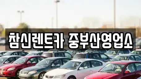 부산 사하구 단기렌트카 전문 참신렌트카 중부산영업소