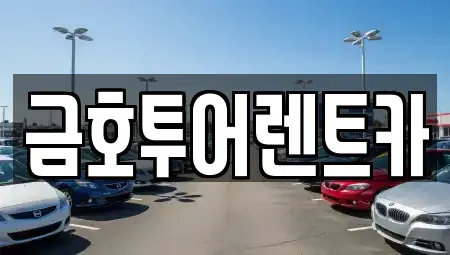 부산 사하구 장기렌트카 전문 금호투어렌트카