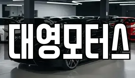 부산 사하구 중고차매매 전문 대영모터스