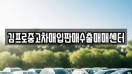 부산 서구 중고차 전문 김프로중고차매입판매수출매매센터