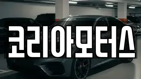 부산 서구 중고차 전문 코리아모터스
