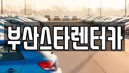 부산 수영구 망미동 렌트카 전문 부산스타렌터카