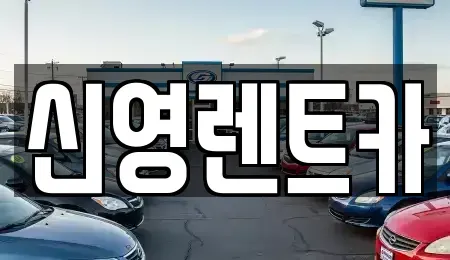 부산 수영구 망미동 장기렌트카 전문 신영렌트카
