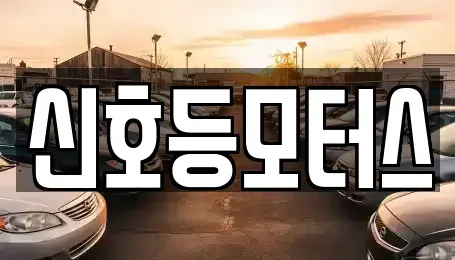 부산 수영구 망미동 중고차 전문 신호등모터스
